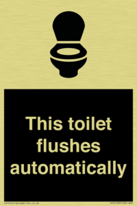 This toilet flushes automatically